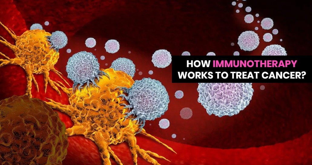 How Immunotherapy Works to Treat Cancer?